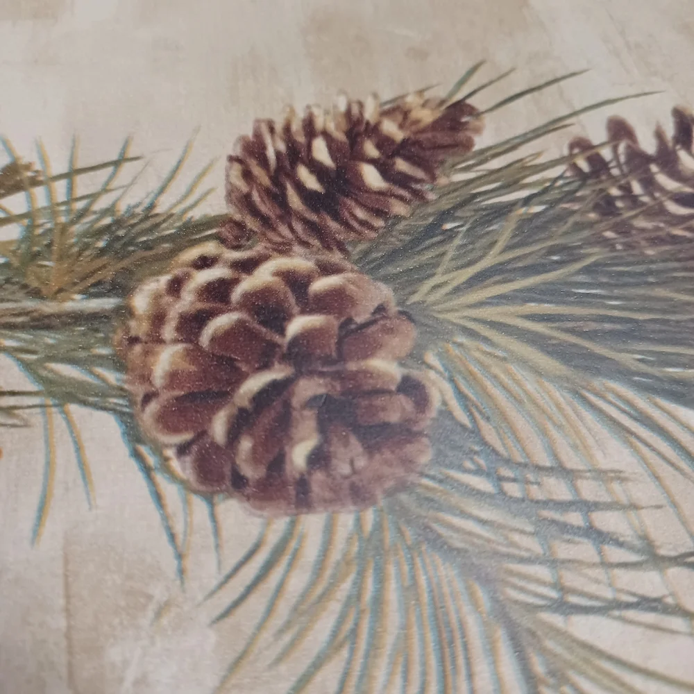 Wallpaper Border Pinecones Red Trim